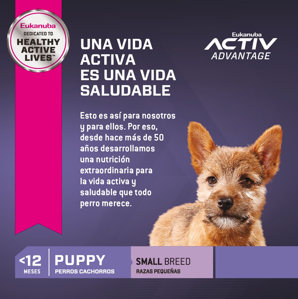 Eukanuba Puppy Small - mi huella