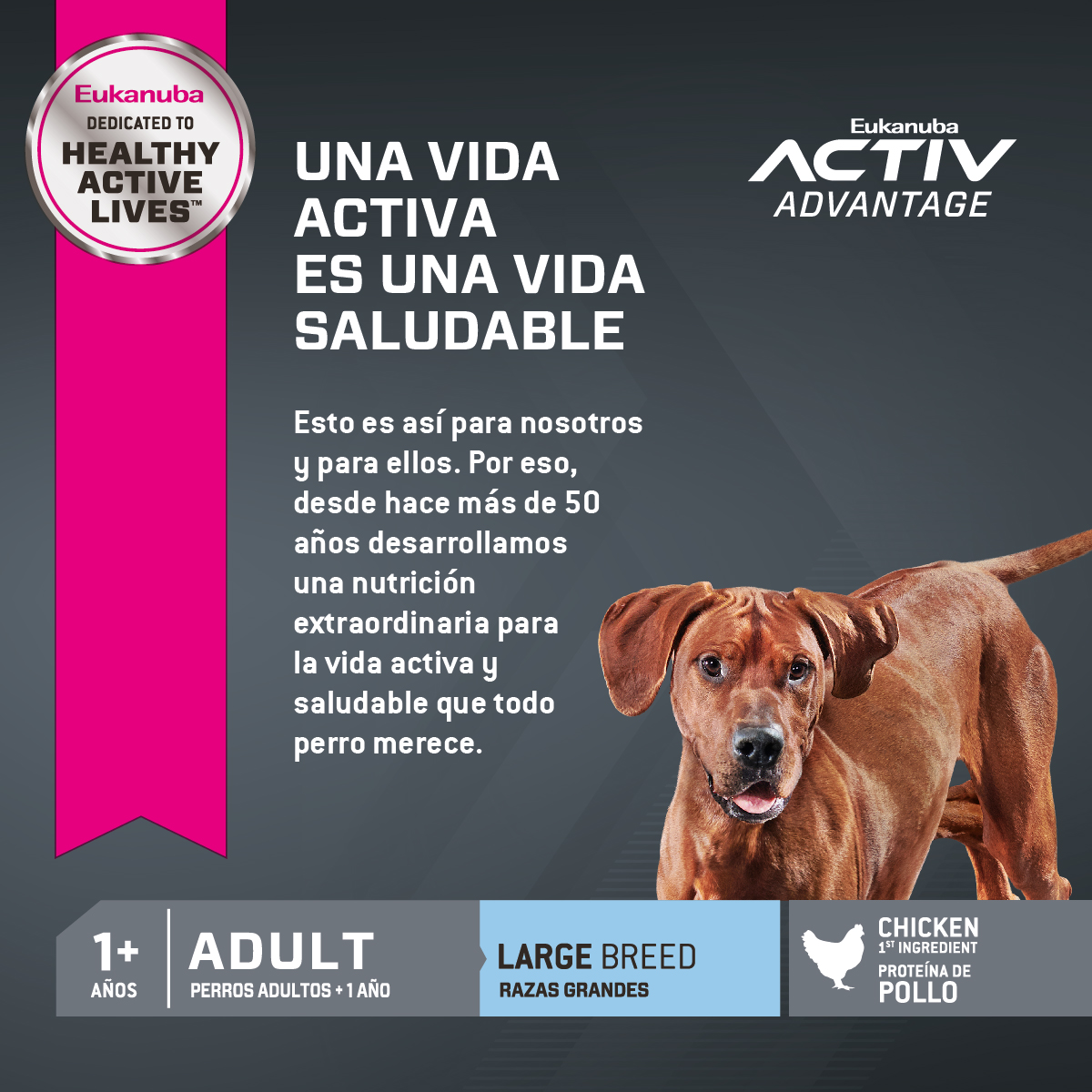 Eukanuba Adulto Large - mi huella