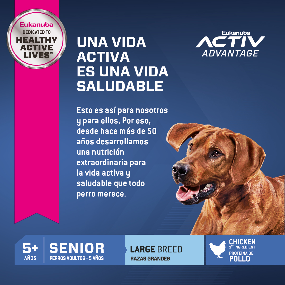 Eukanuba Senior Large 5+ - MI HUELLA